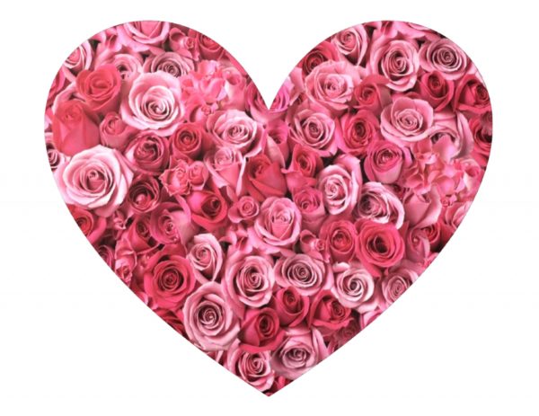 pink-rose-heart